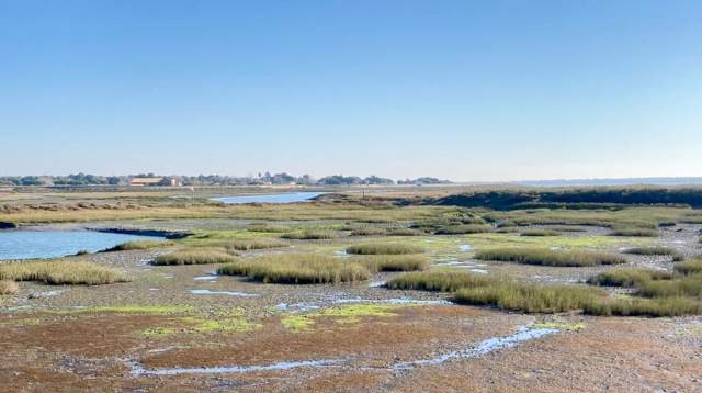 Ile de Ré