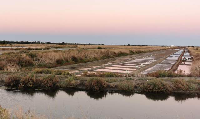 Ile de Ré